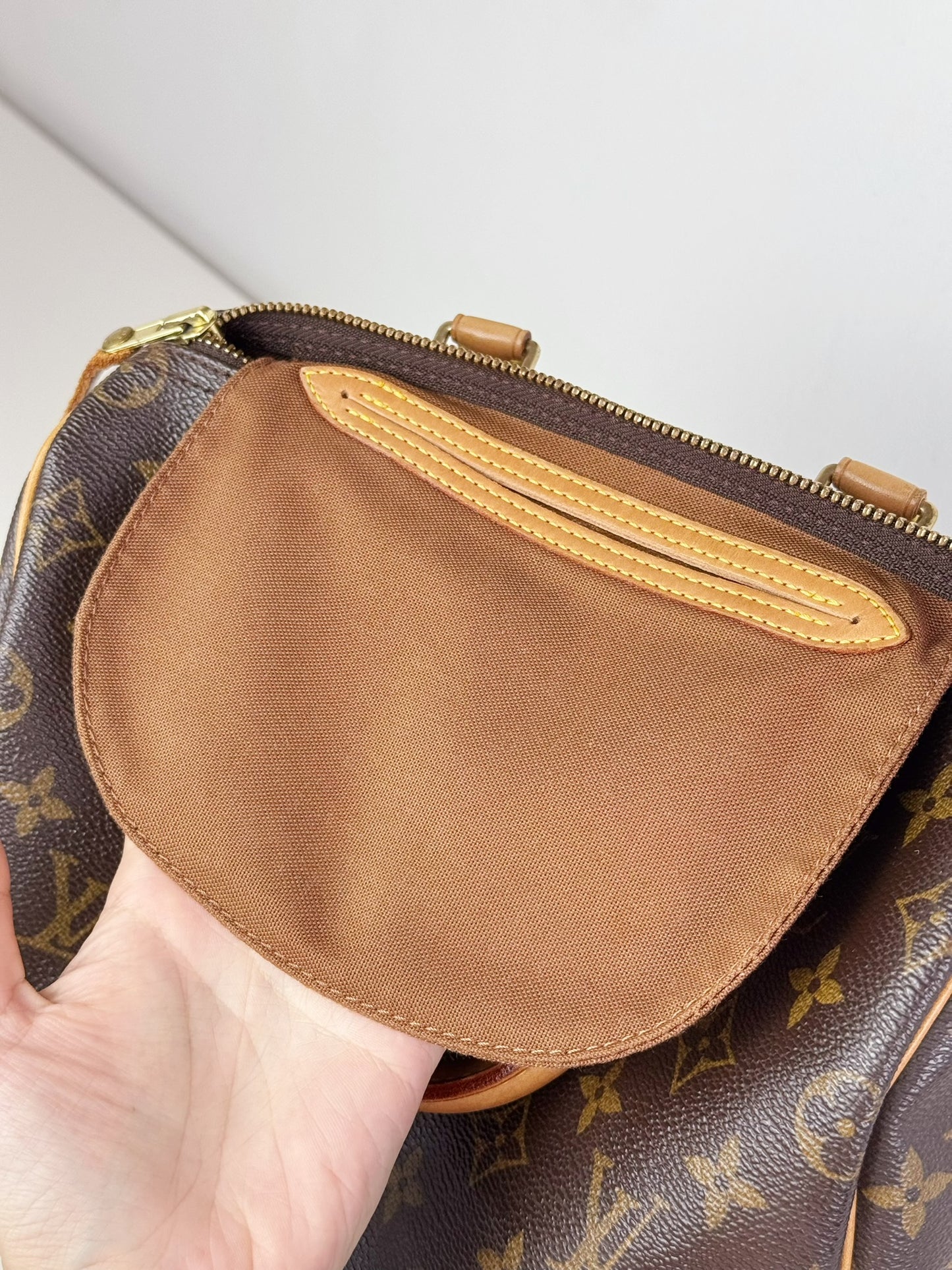 Louis Vuitton Vintage Speedy 25 Handbag Crossbody Bag