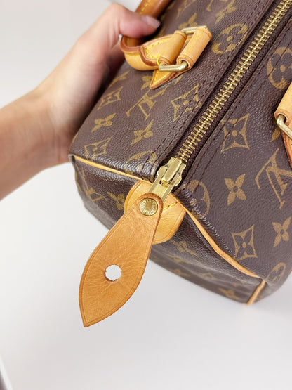 Louis Vuitton Vintage Speedy 25 Handbag Crossbody Bag
