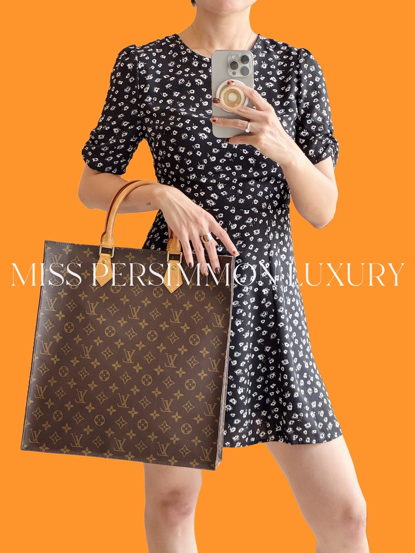 Louis Vuitton Vintage Sac Plat Handbag Tote Crossbody Bag