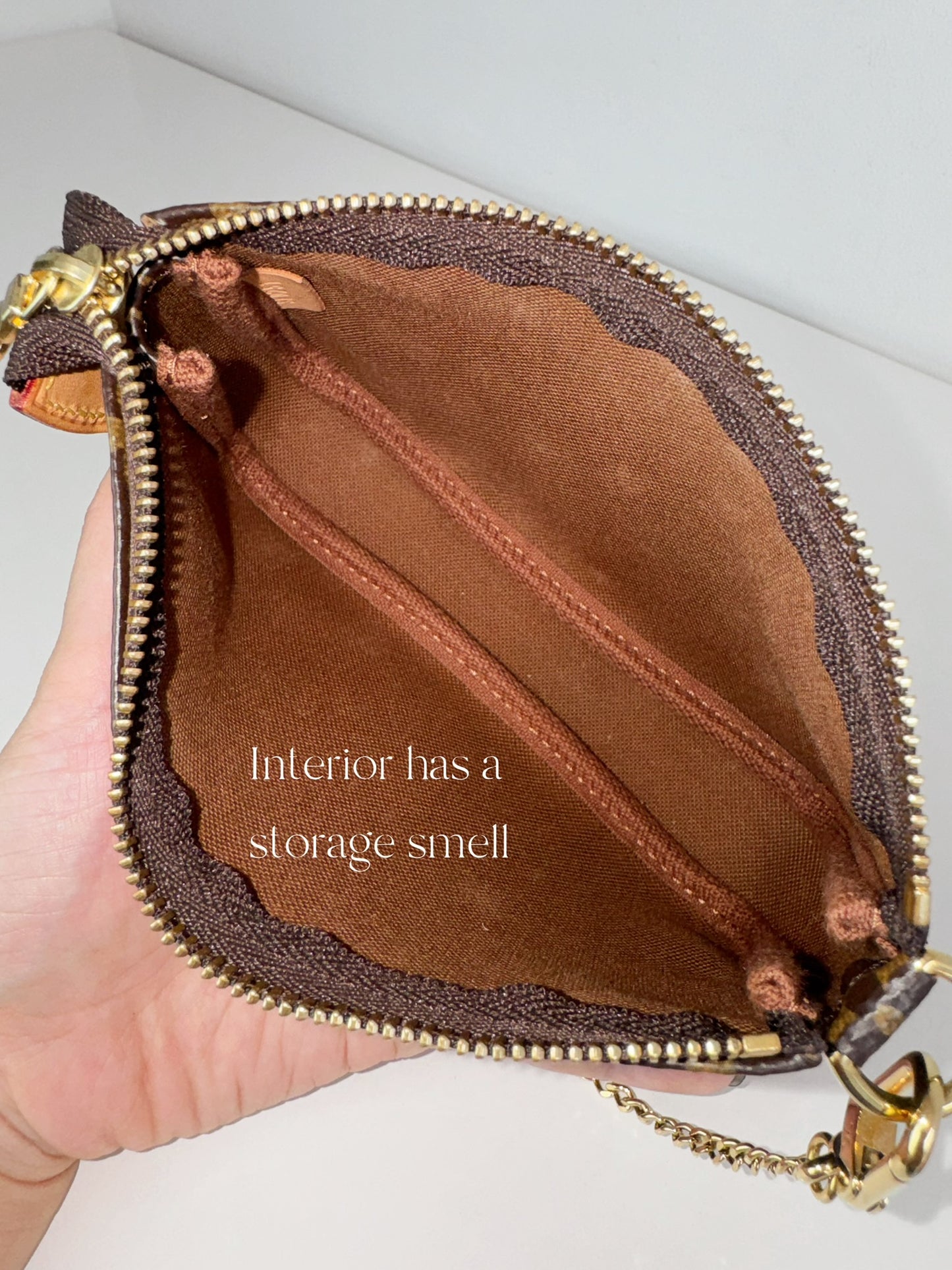 Louis Vuitton Vintage Mini Pochette Accessoires Shoulder Crossbody Bag