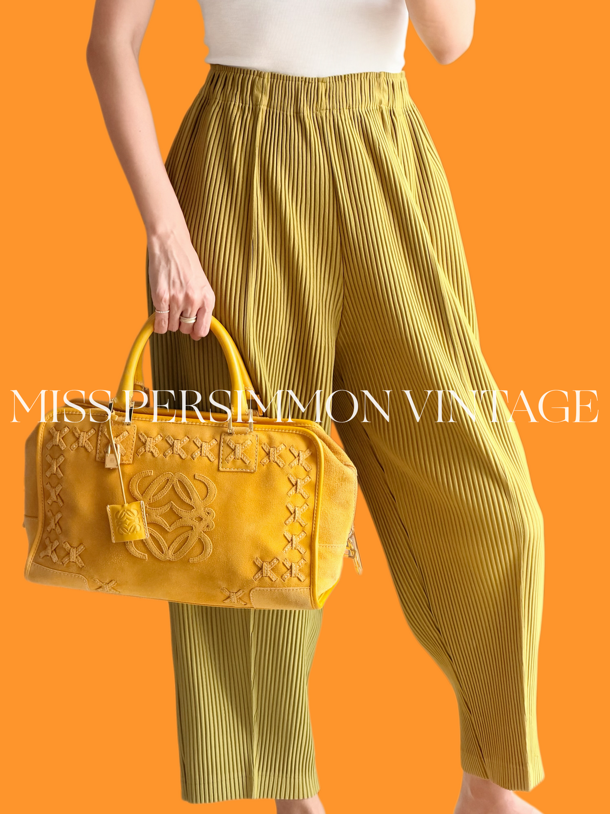 Loewe Vintage Suede Amazona 36 Handbag