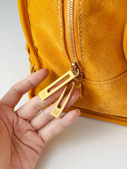 Loewe Vintage Suede Amazona 36 Handbag