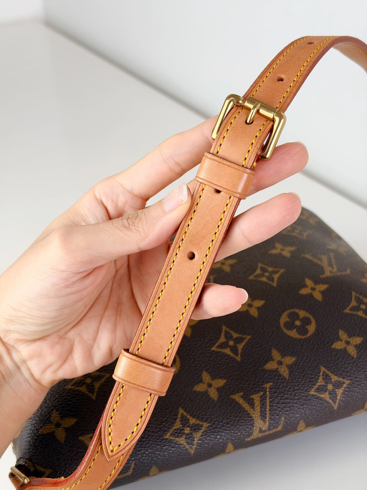 Louis Vuitton Musette Tango Shoulder Crossbody Bag