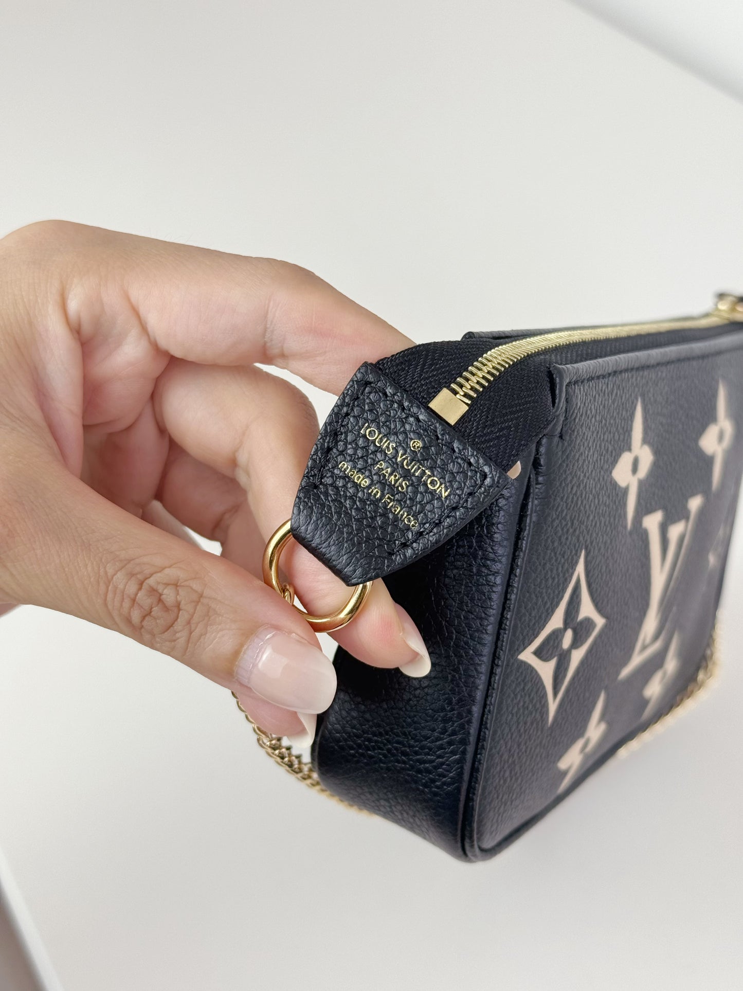 Louis Vuitton Vintage Biocolour Mini Pochette Accessoires Shoulder Crossbody Bag (RFID)