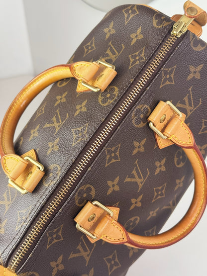 Louis Vuitton Vintage Speedy 25 Handbag Crossbody Bag