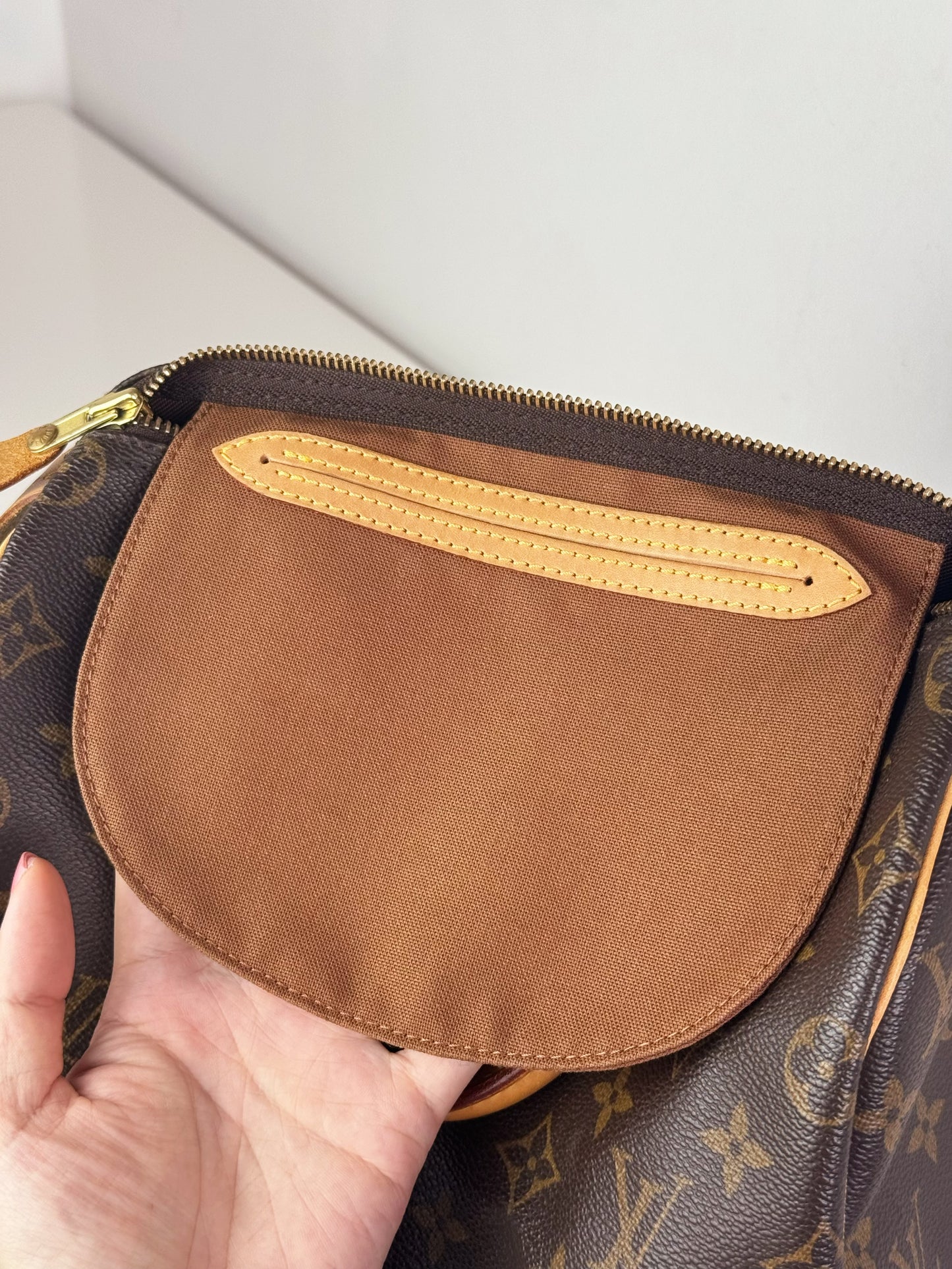 Louis Vuitton Vintage Speedy 25 Handbag Crossbody Bag